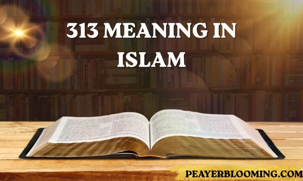 313 meaning in Islam