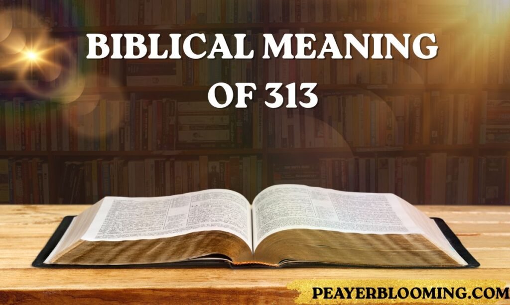 Biblical Meaning of 313
