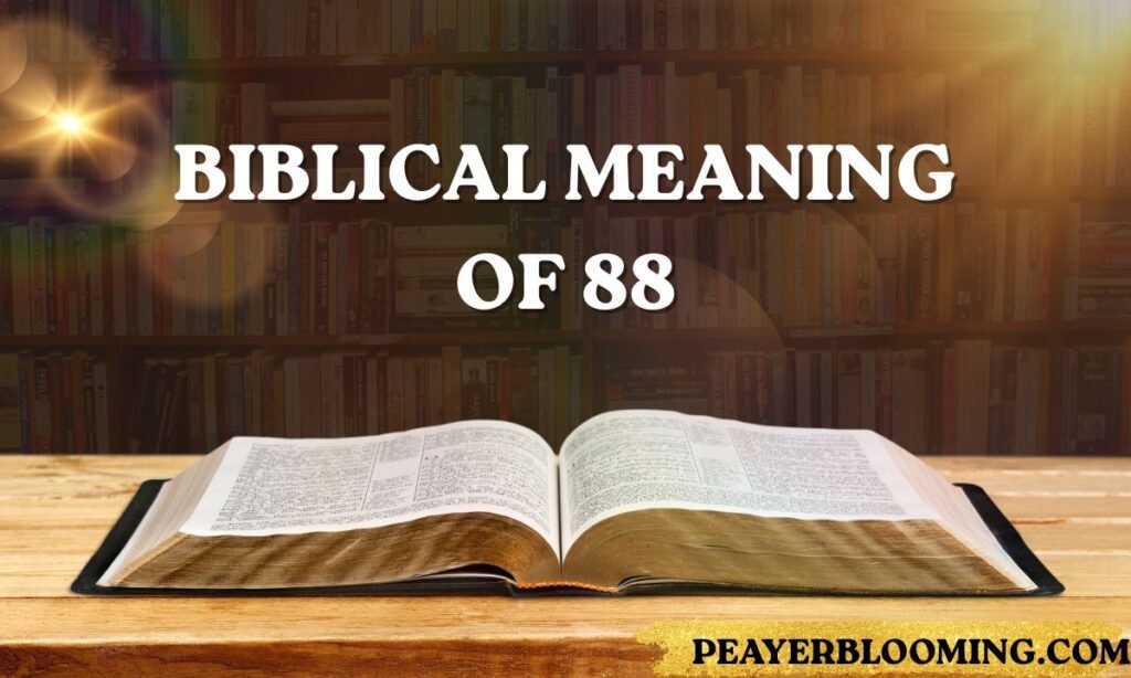 Biblical Meaning of 88