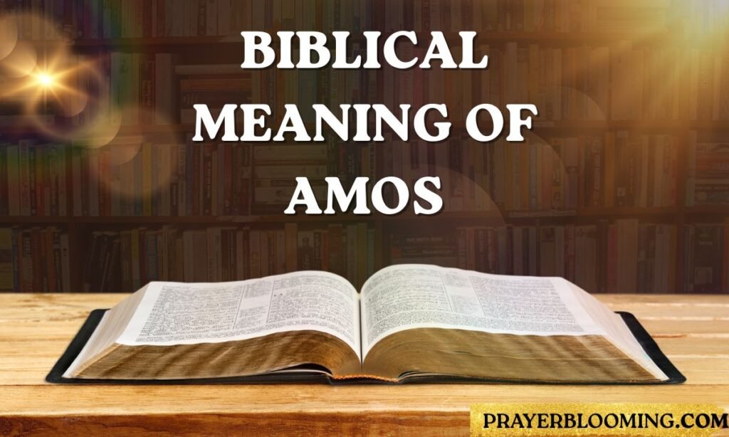 Biblical Meaning of Amos