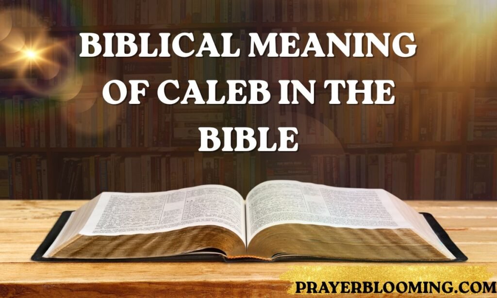 Biblical Meaning of Caleb in the Bible