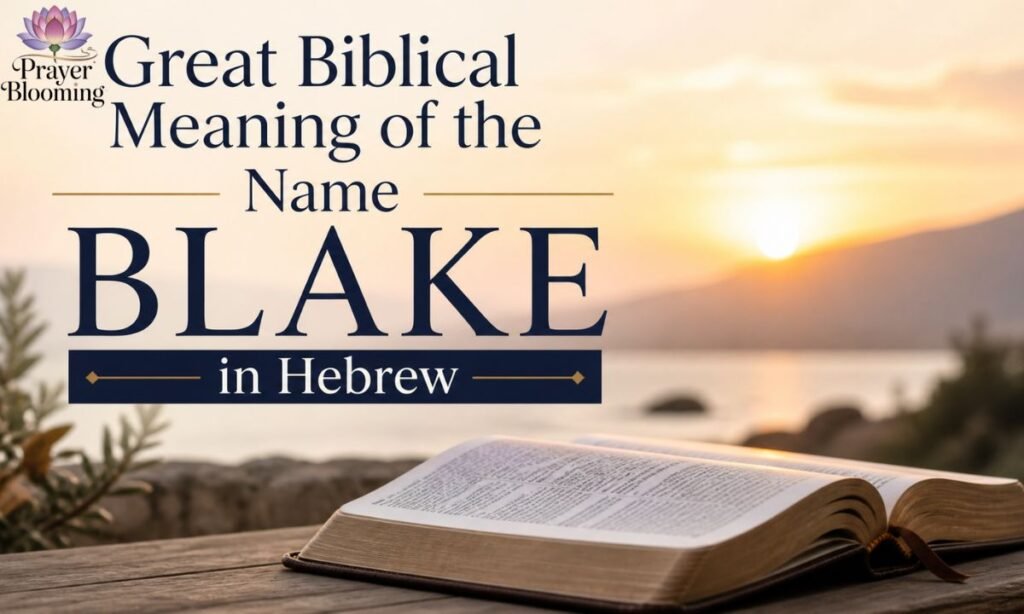 Great biblical meaning of the name blake in hebrew