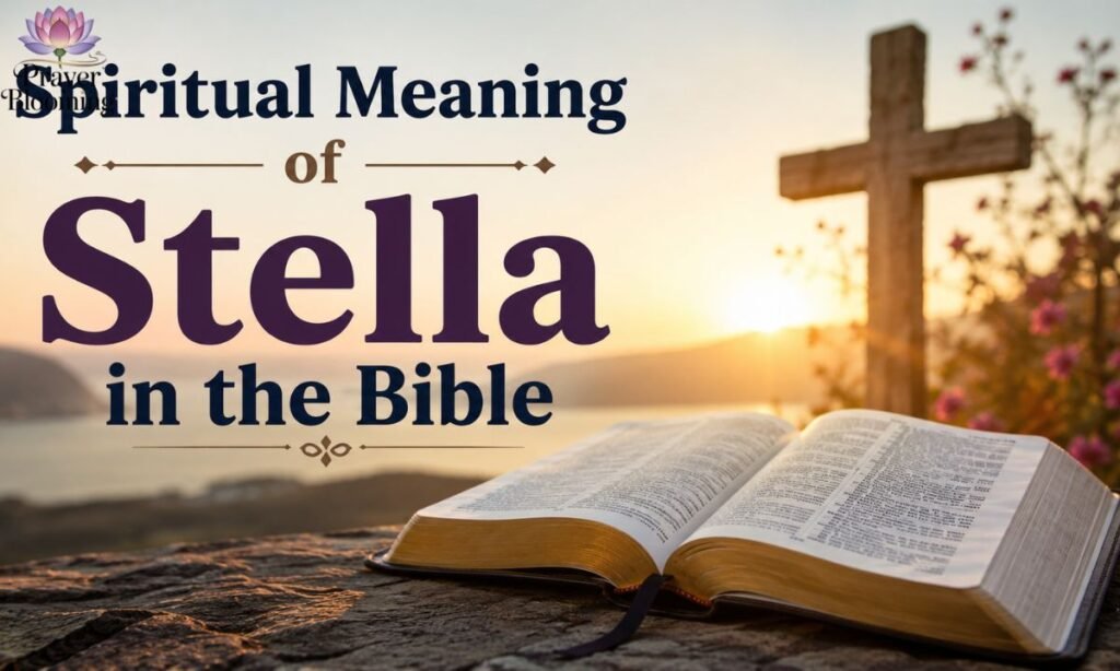 Spiritual meaning of Stella in the Bible