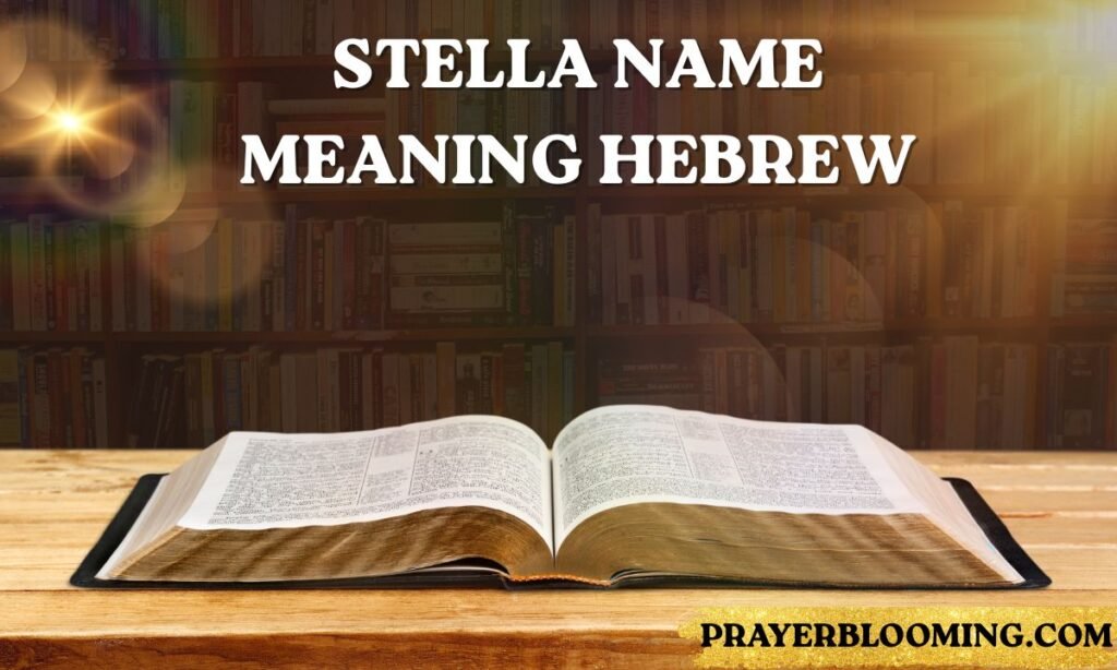 Stella name meaning Hebrew