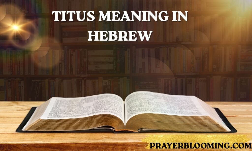 Titus meaning in Hebrew
