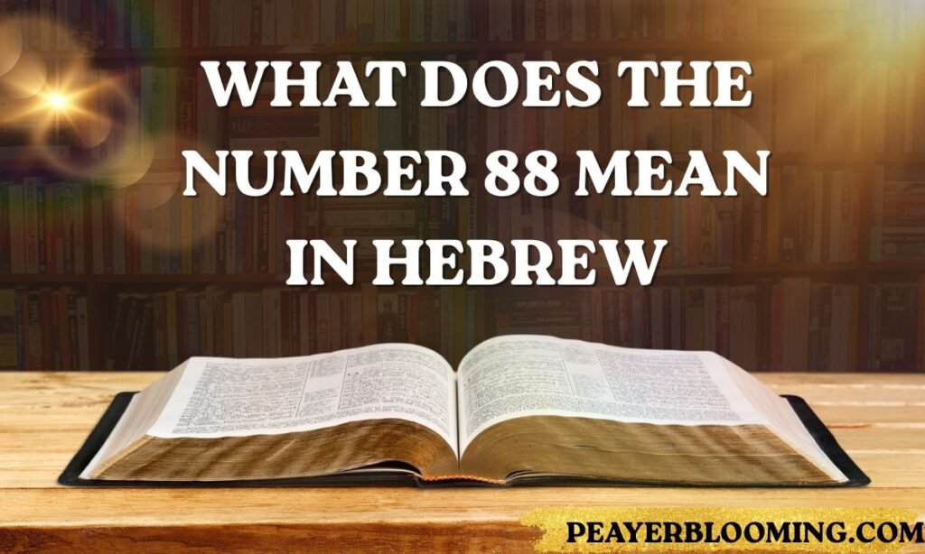 What does the Number 88 mean in Hebrew