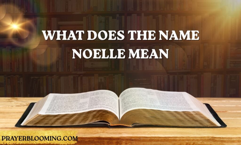 What does the name Noelle mean