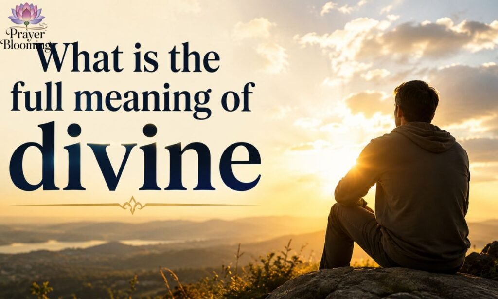 What is the full meaning of divine
