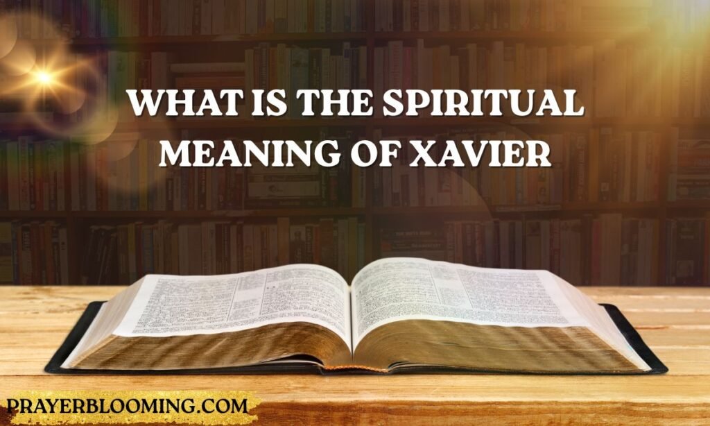 What is the spiritual meaning of Xavier