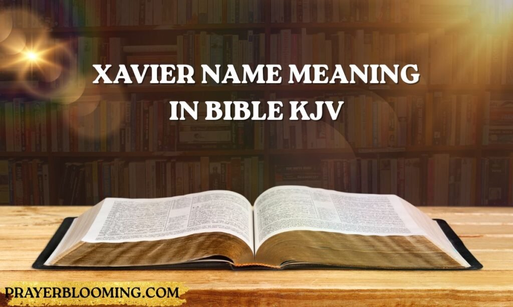 Xavier name meaning in bible kjv