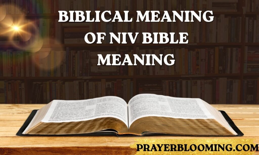 Biblical Meaning of NIV Bible Meaning