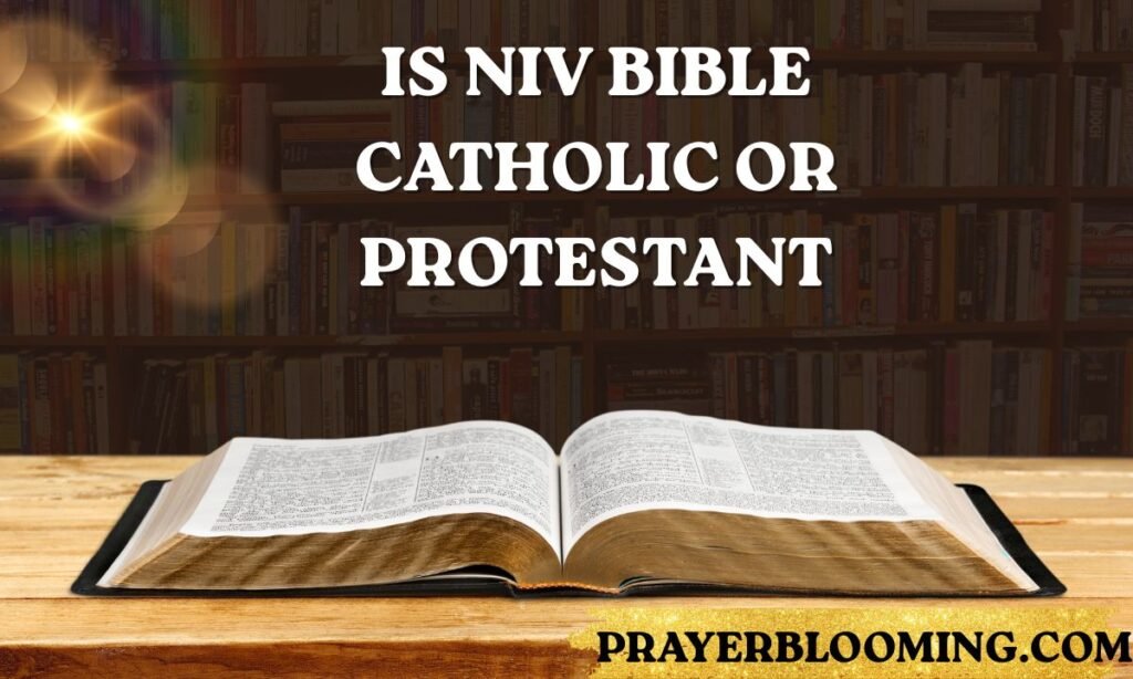 Is NIV Bible Catholic or Protestant