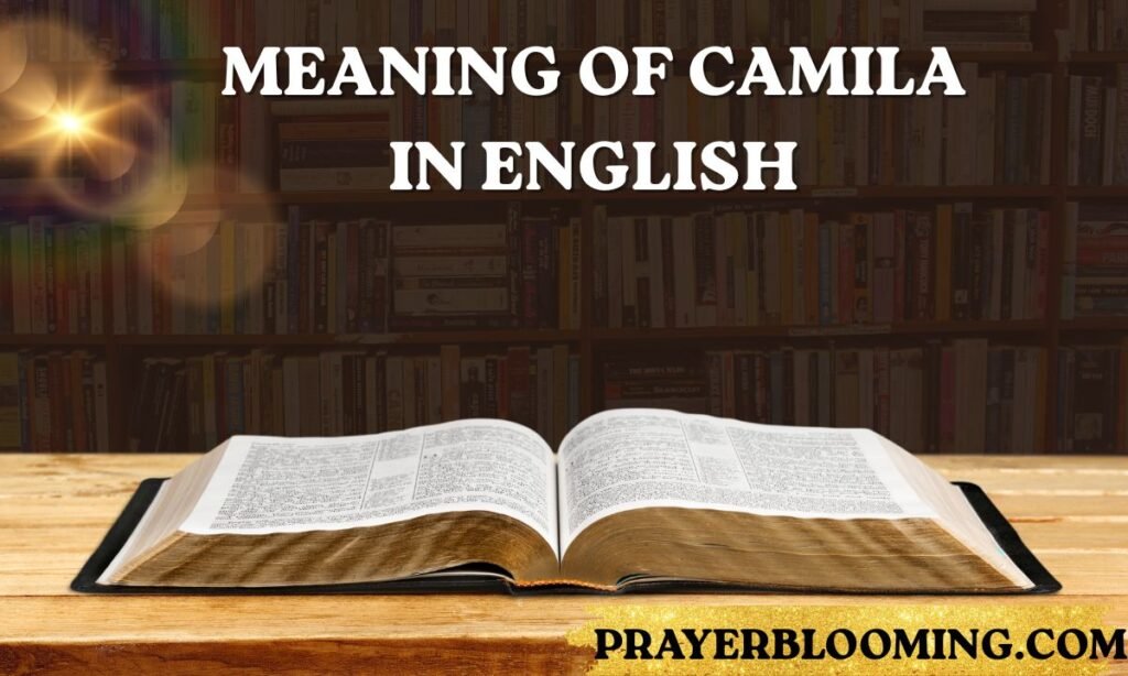 Meaning of Camila in English