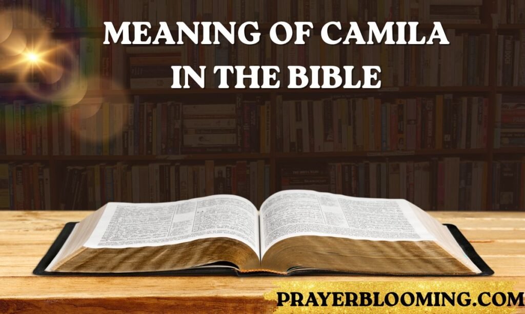 Meaning of Camila in the Bible