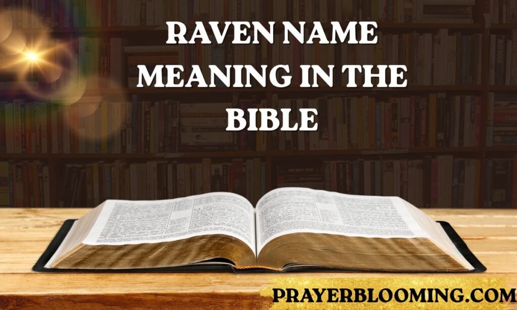 Raven name meaning in the Bible