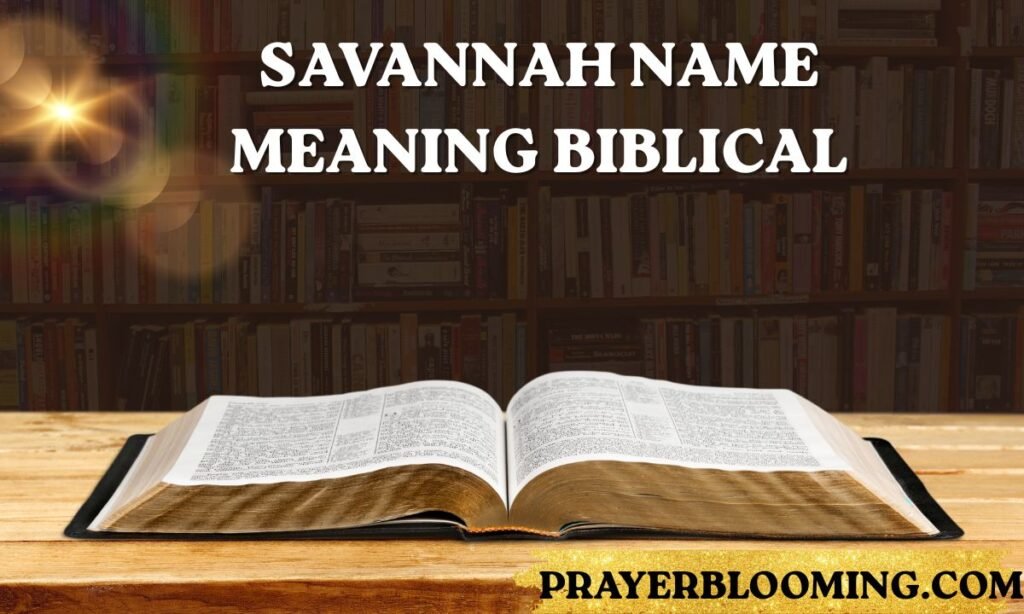 Savannah name meaning biblical