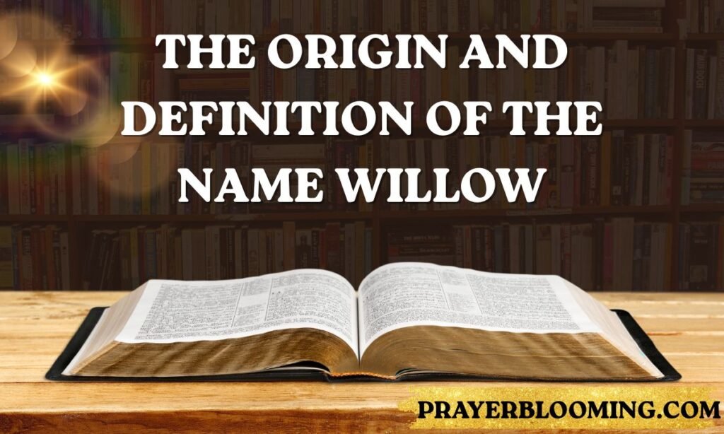 The Origin and Definition of the Name Willow