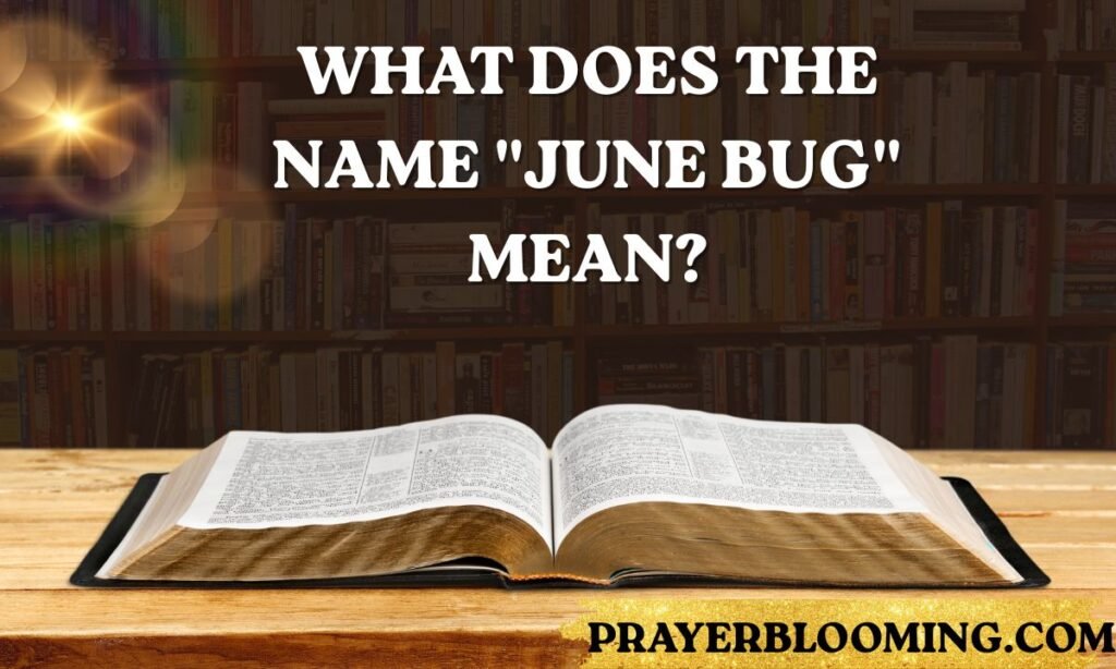 What Does the Name June Bug Mean