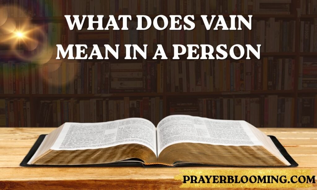 What does vain mean in a person