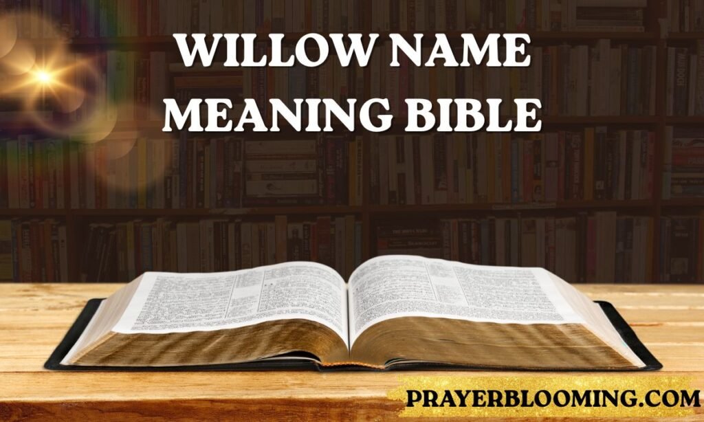 Willow-Name-Meaning-Bible