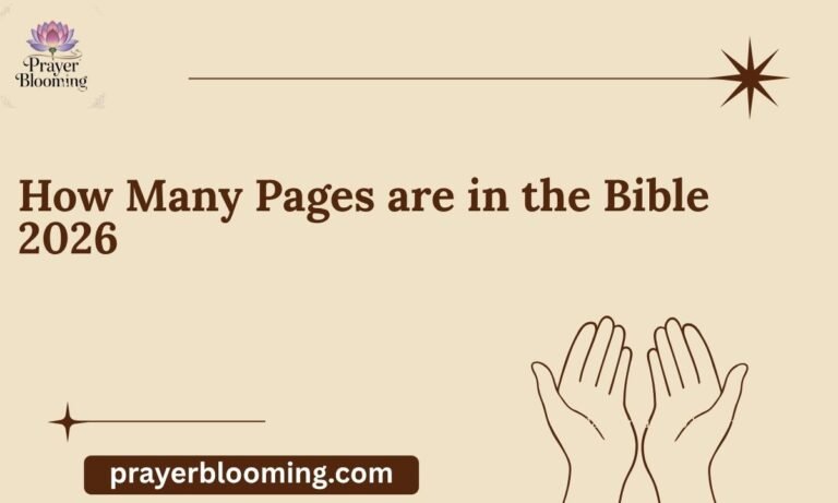 How Many Pages are in the Bible 2026 (1)