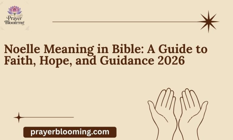 Noelle Meaning in Bible A Guide to Faith, Hope, and Guidance 2026