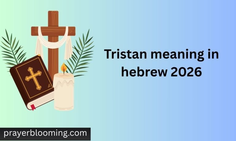 Tristan meaning in hebrew 2026