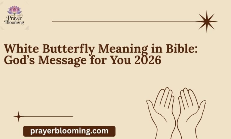 White Butterfly Meaning in Bible God’s Message for You 2026