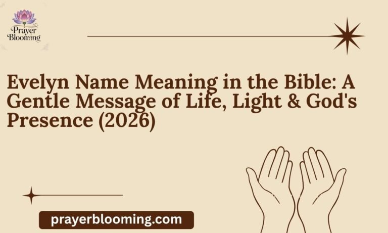 Evelyn Name Meaning in the Bible A Gentle Message of Life, Light & God's Presence (2026)