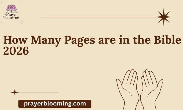 How Many Pages are in the Bible 2026 (2)