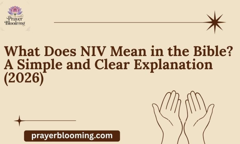 What Does NIV Mean in the Bible A Simple and Clear Explanation (2026)