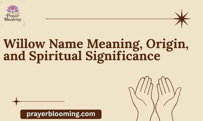 Willow Name Meaning, Origin, and Spiritual Significance